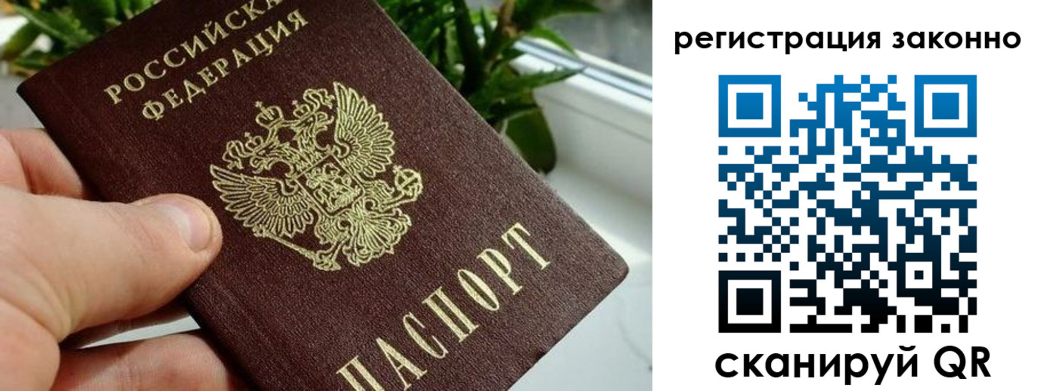 прописка гарантия в Лисках